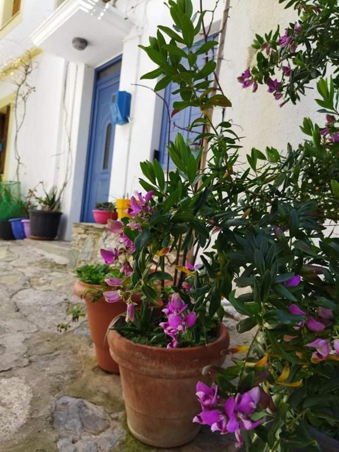Вилла Kastro House Скопелос Экстерьер фото
